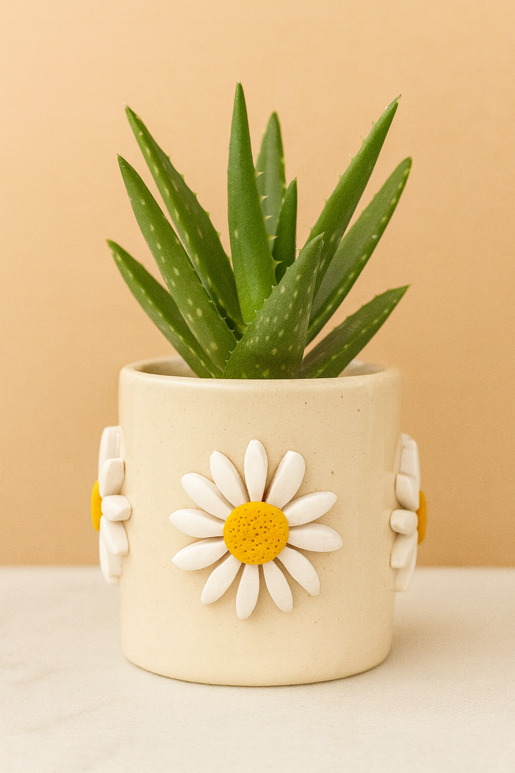 Daisy Indoor Planter With Clay Art