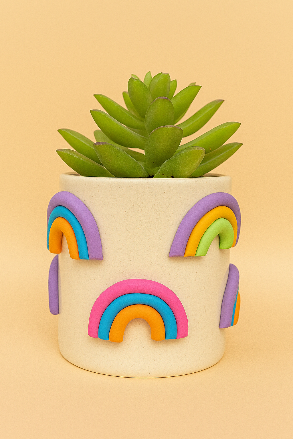 Rainbow Indoor Planter with Clay Art