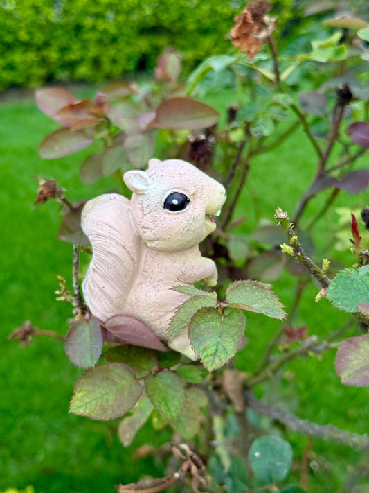 Squirrel Garden Ornament